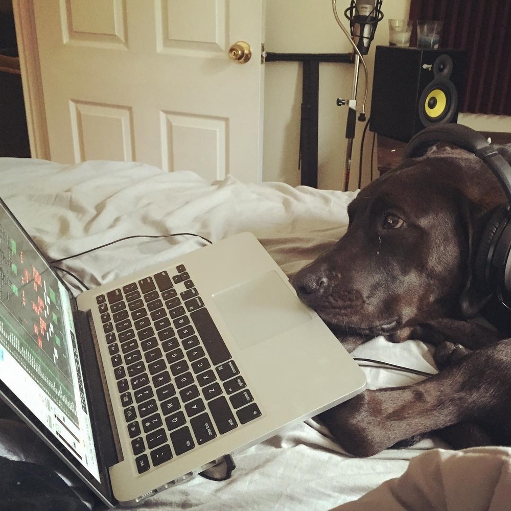 Meet your Posher, Jonny